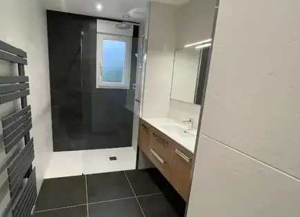 rénovation salle de bain Erdre en Anjou-3